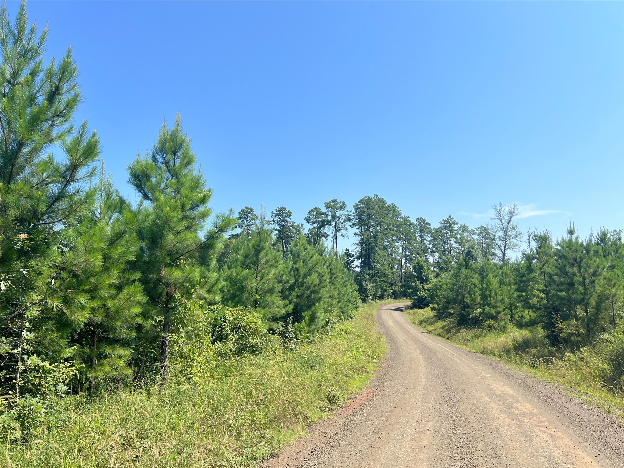 01 Carters Ferry Road Hemphill TX 75959