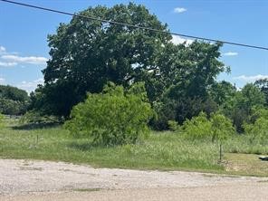17059 Trailwood Drive Whitney TX 76692