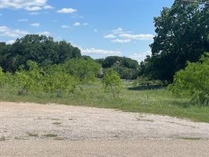 17059 Trailwood Drive Whitney TX 76692