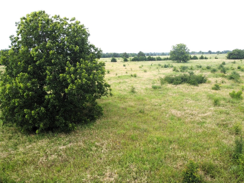 Lot 6 Cr 1400 Ravenna TX 75476