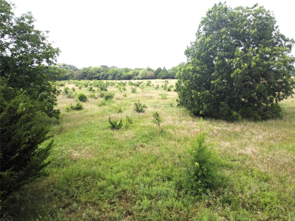 Lot 6 Cr 1400 Ravenna TX 75476
