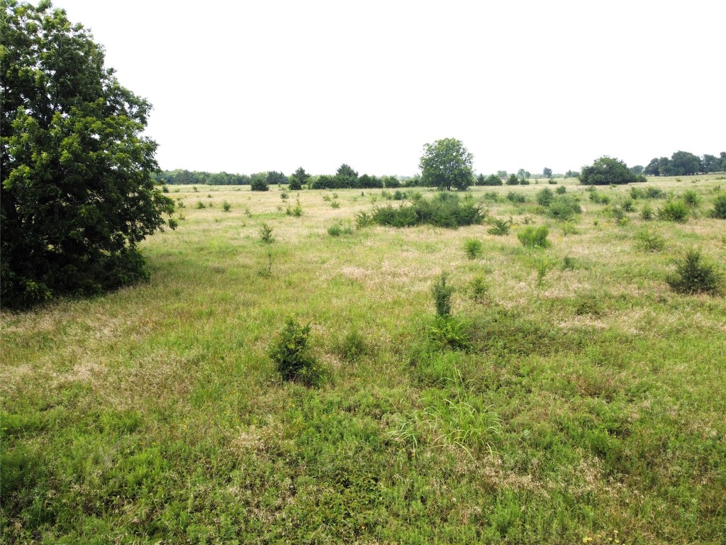 Lot 6 Cr 1400 Ravenna TX 75476