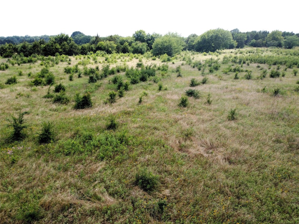 Lot 6 Cr 1400 Ravenna TX 75476