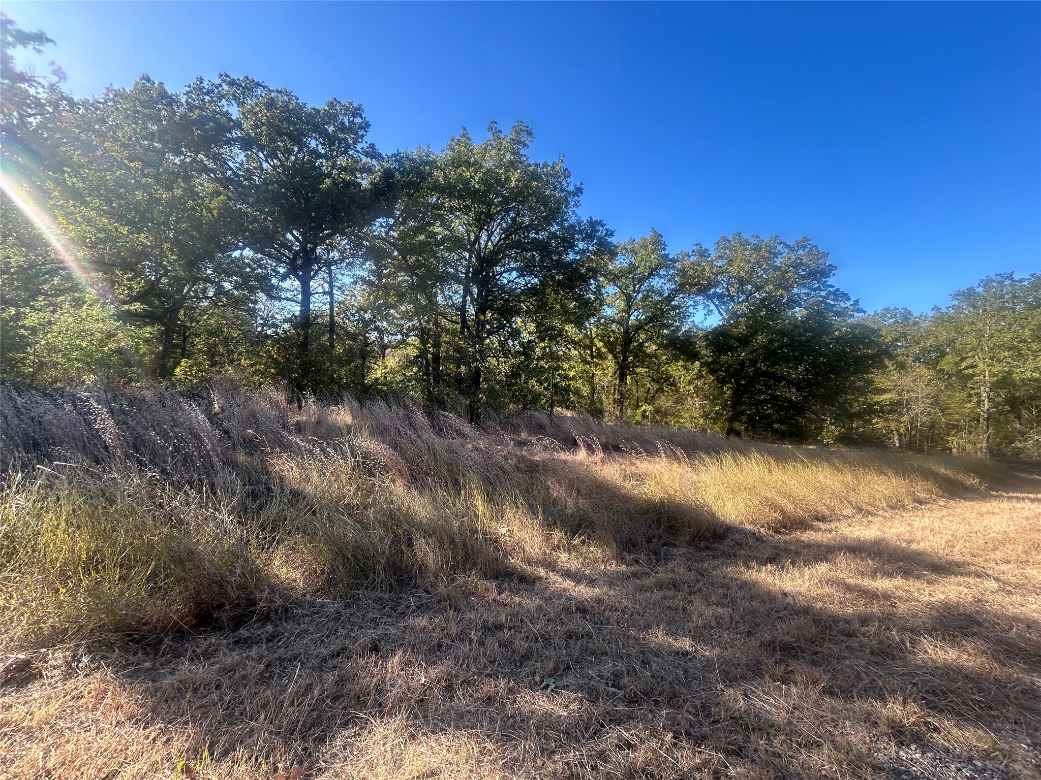 58 Point Lavista Malakoff TX 75148