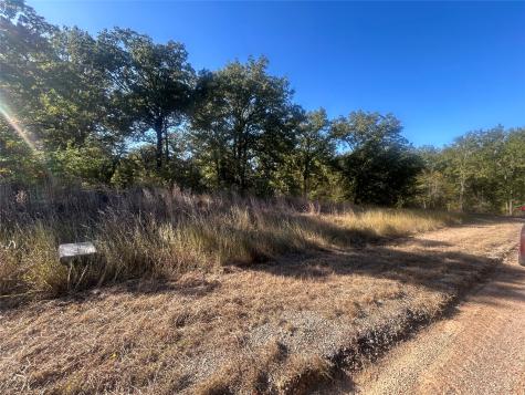 58 Point Lavista Malakoff TX 75148