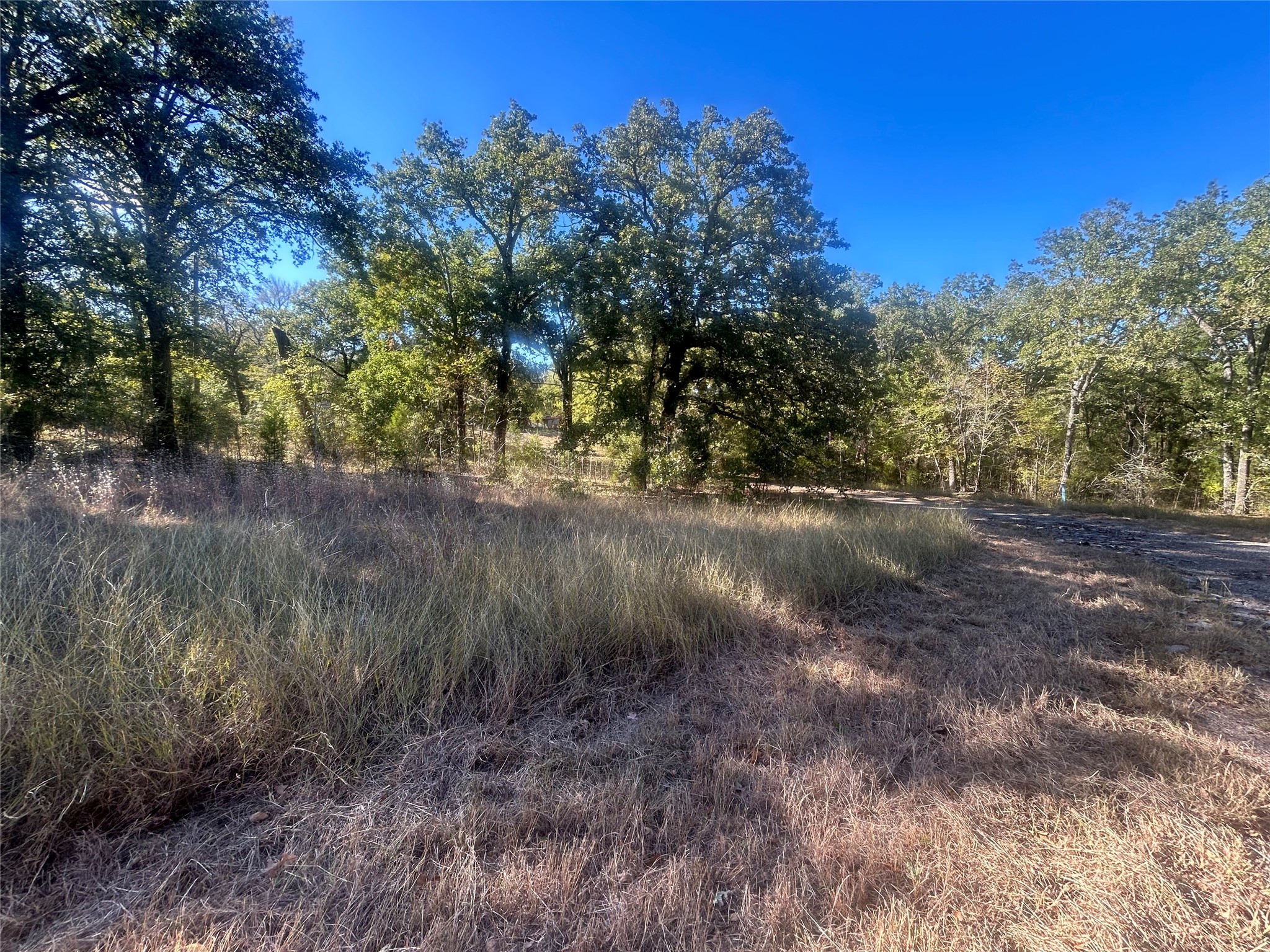58 Point Lavista Malakoff TX 75148