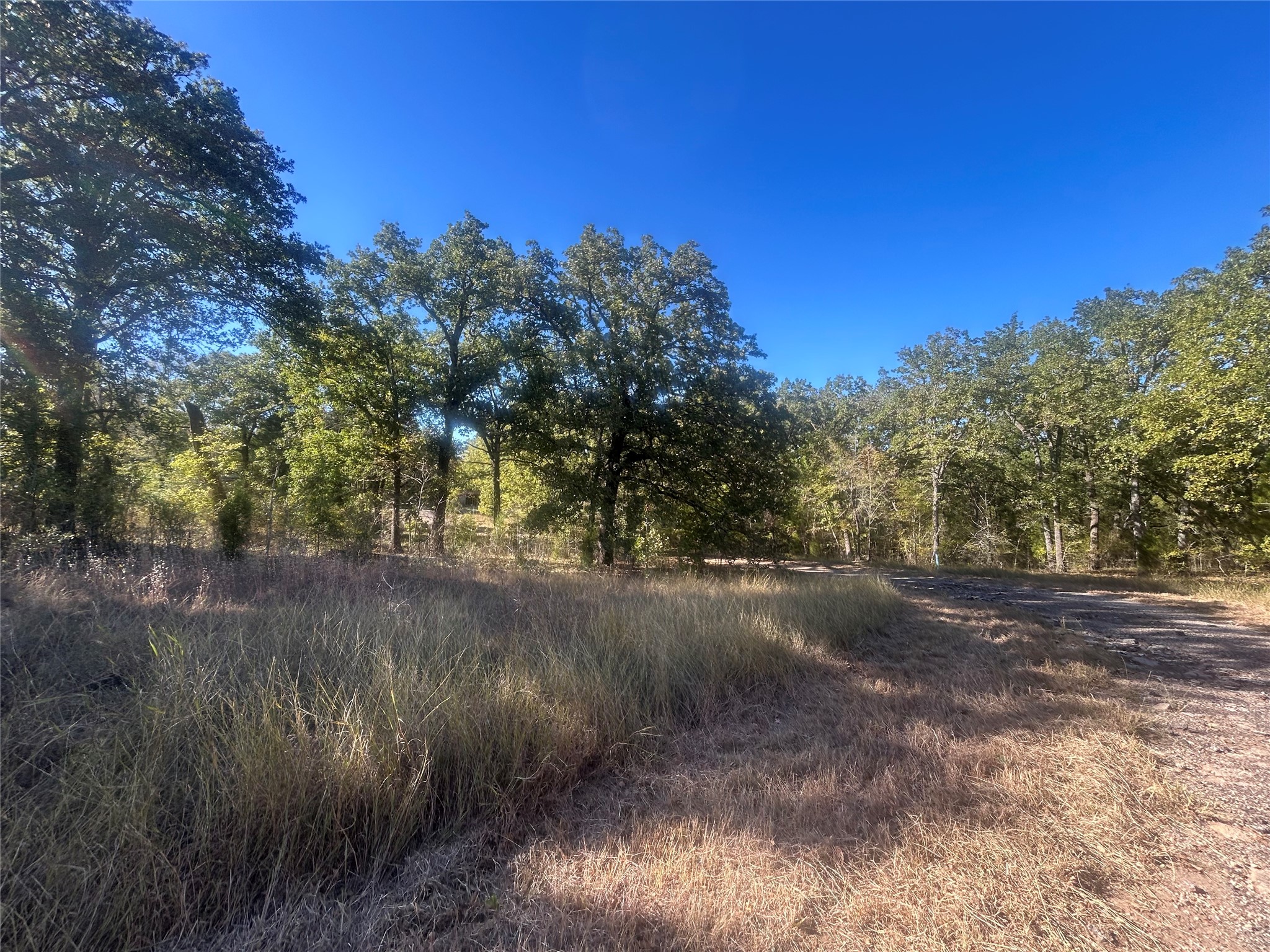 58 Point Lavista Malakoff TX 75148