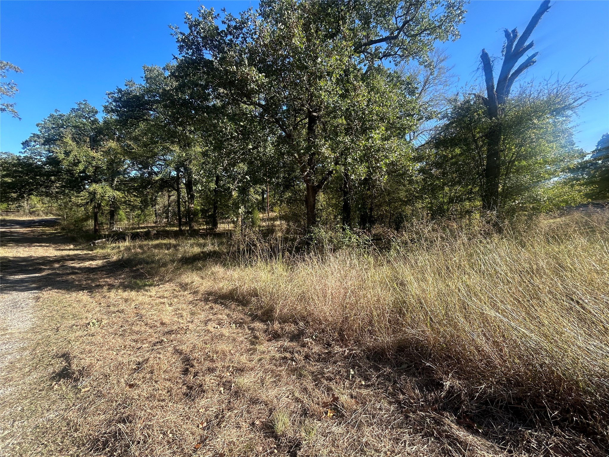 58 Point Lavista Malakoff TX 75148