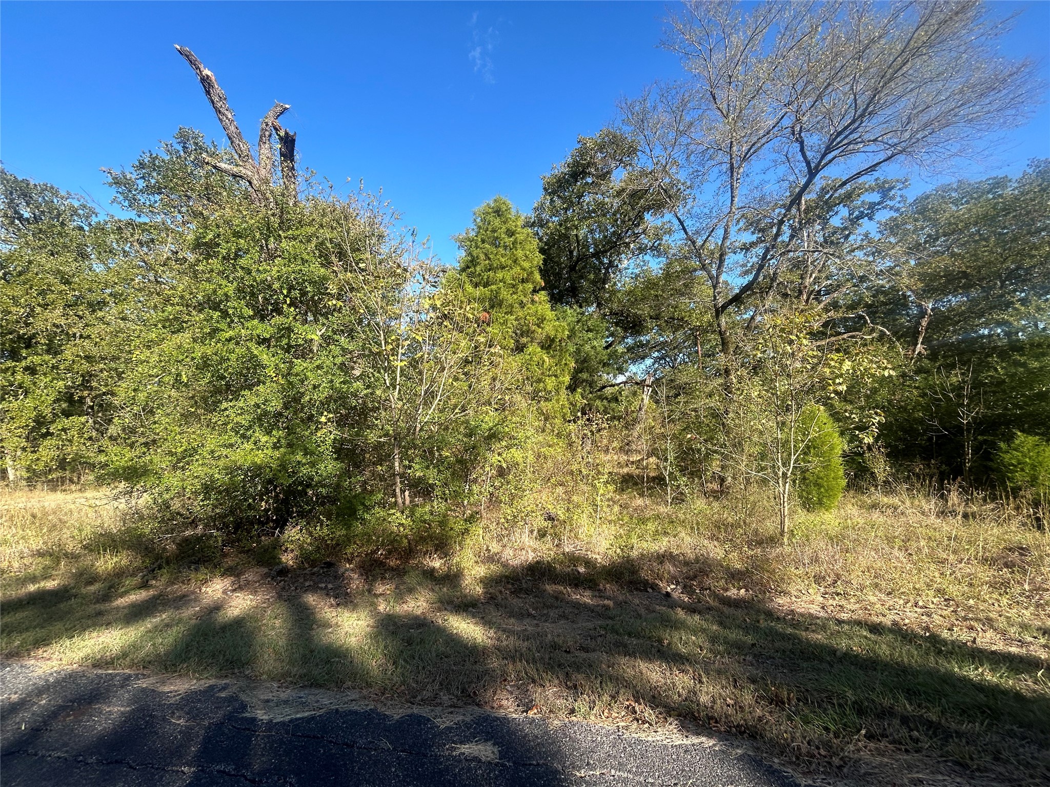 58 Point Lavista Malakoff TX 75148