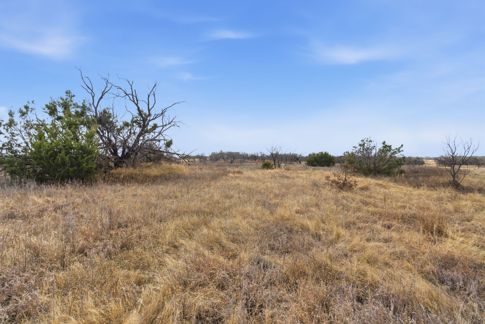 8005 Contrary Creek Road Granbury TX 76048