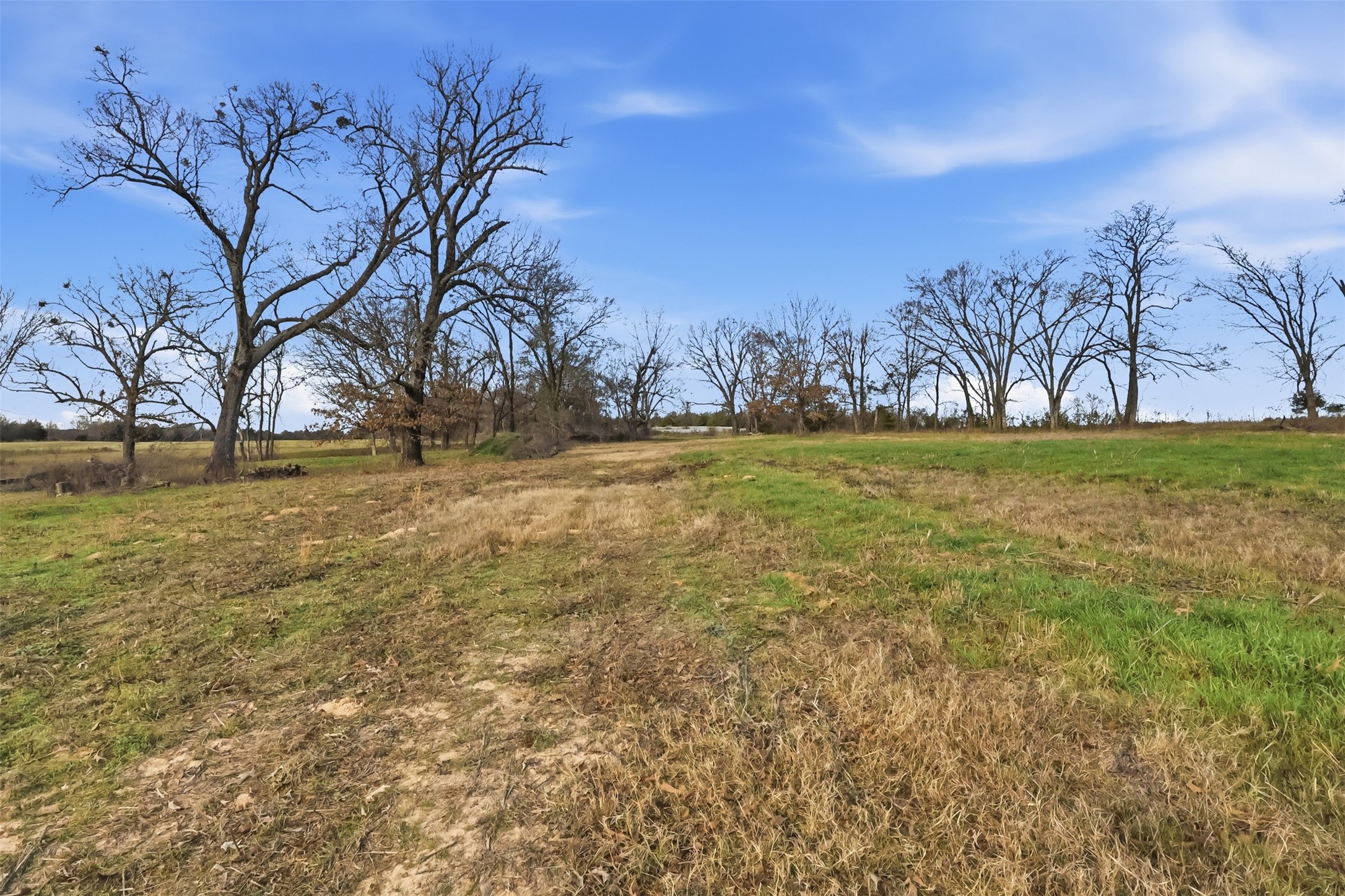 775 County Road 4919 Quitman TX 75783
