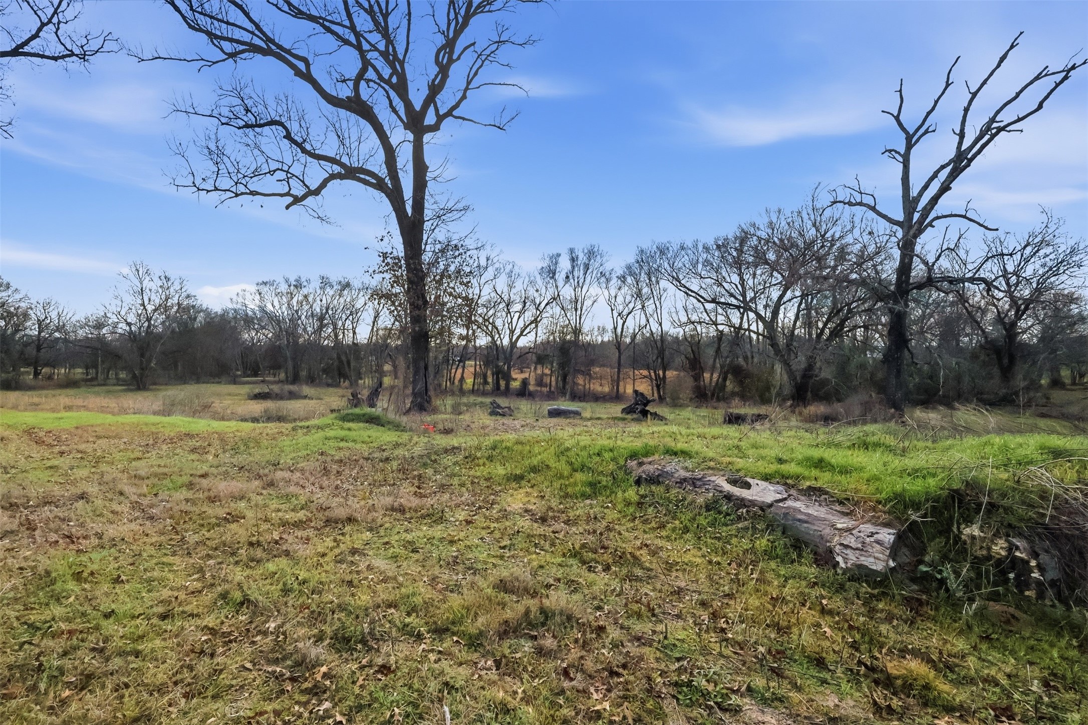 775 County Road 4919 Quitman TX 75783
