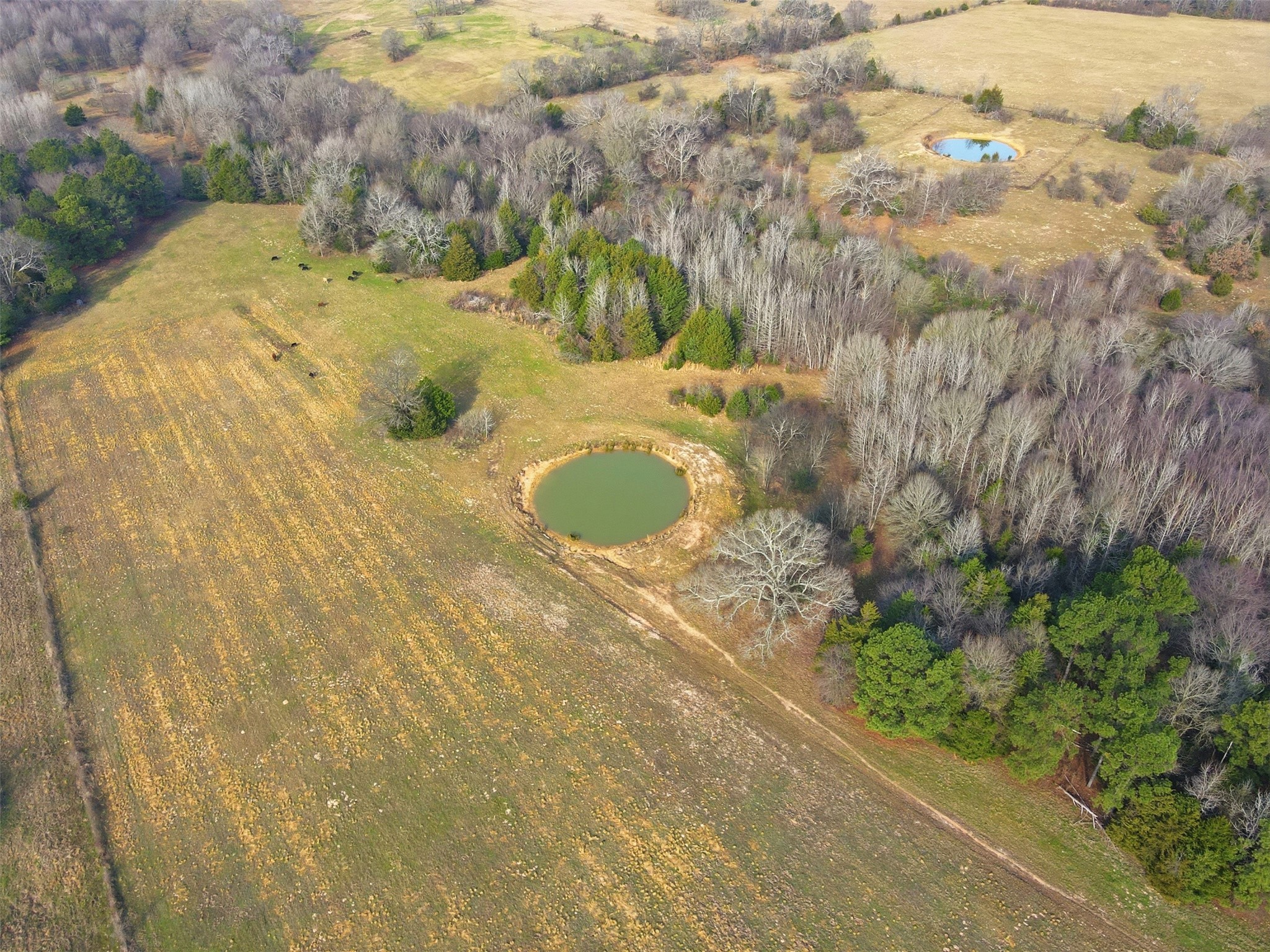 775 County Road 4919 Quitman TX 75783