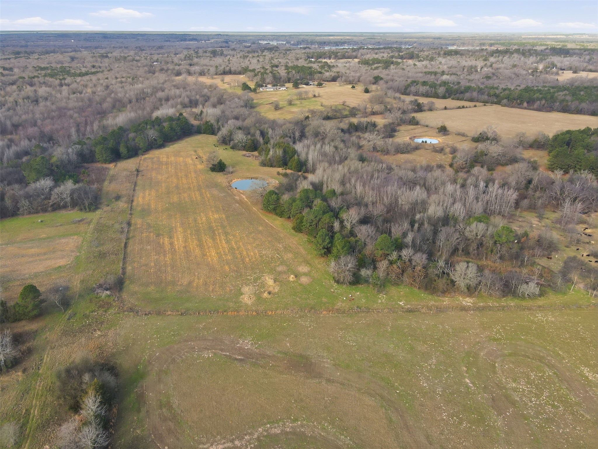 775 County Road 4919 Quitman TX 75783