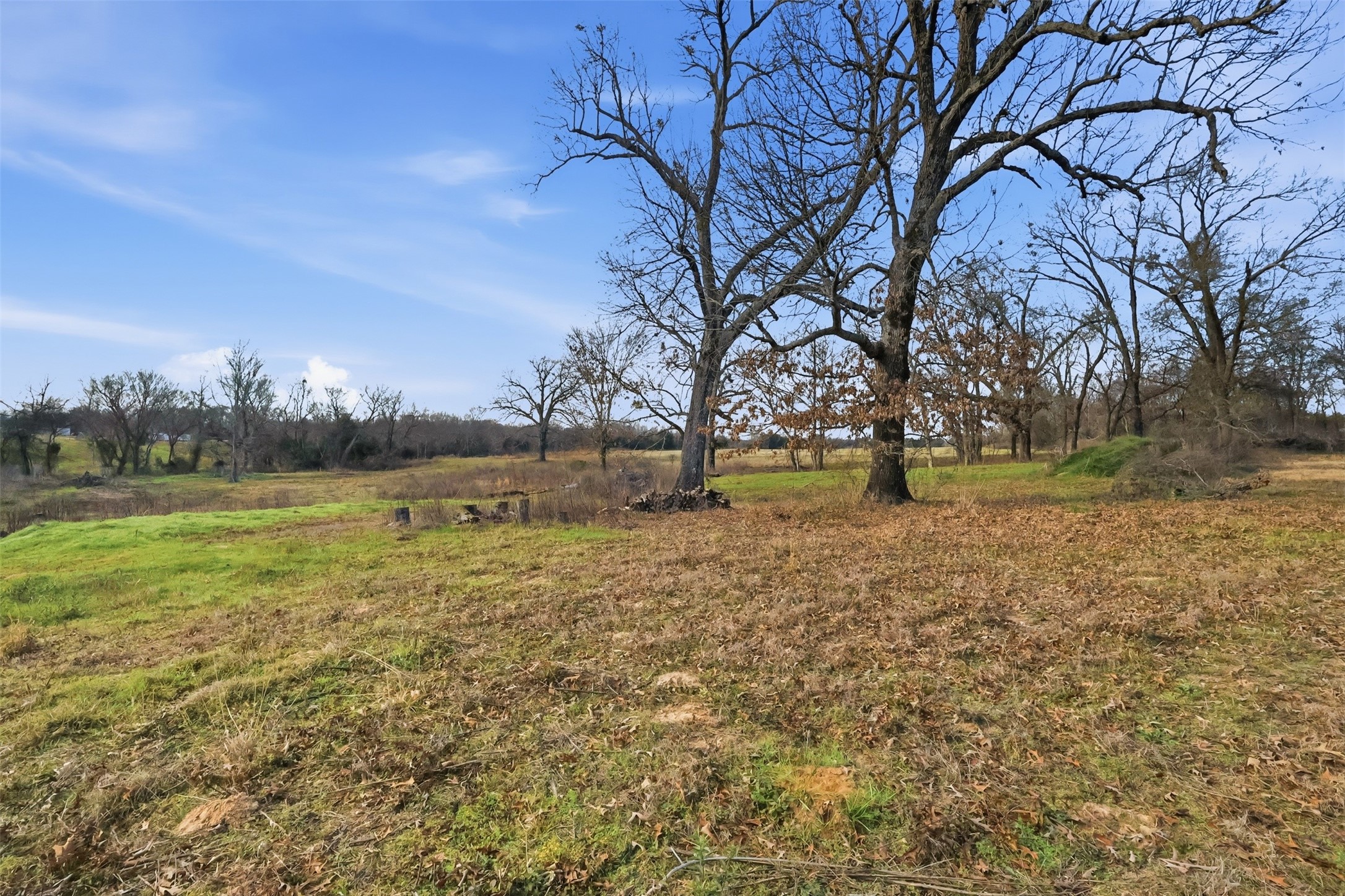 775 County Road 4919 Quitman TX 75783