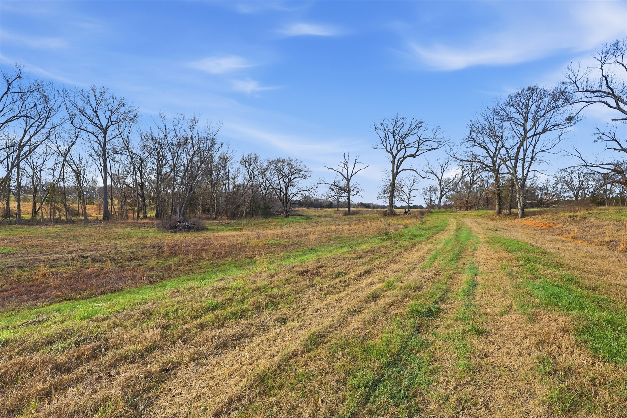 775 County Road 4919 Quitman TX 75783