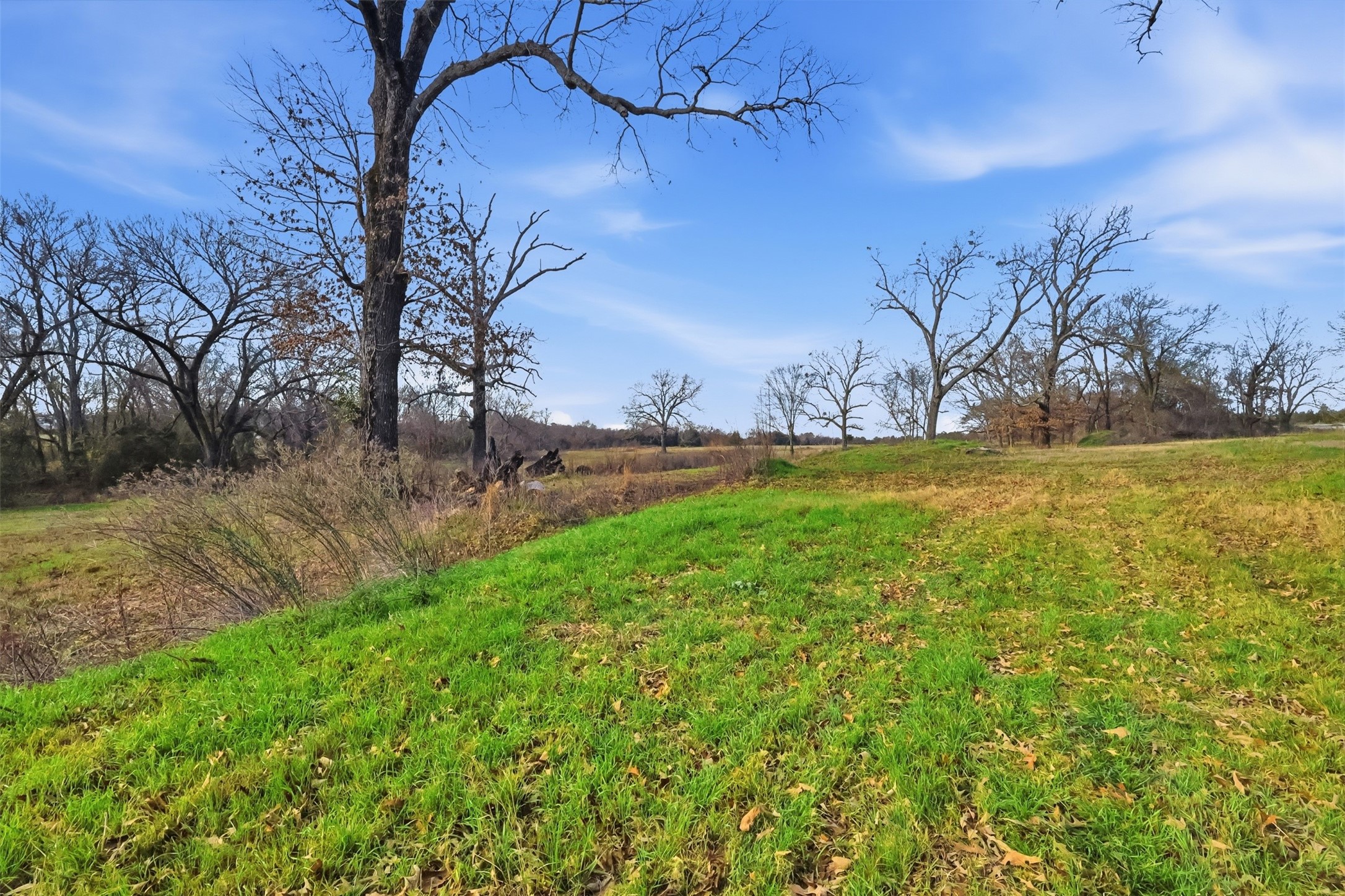 775 County Road 4919 Quitman TX 75783