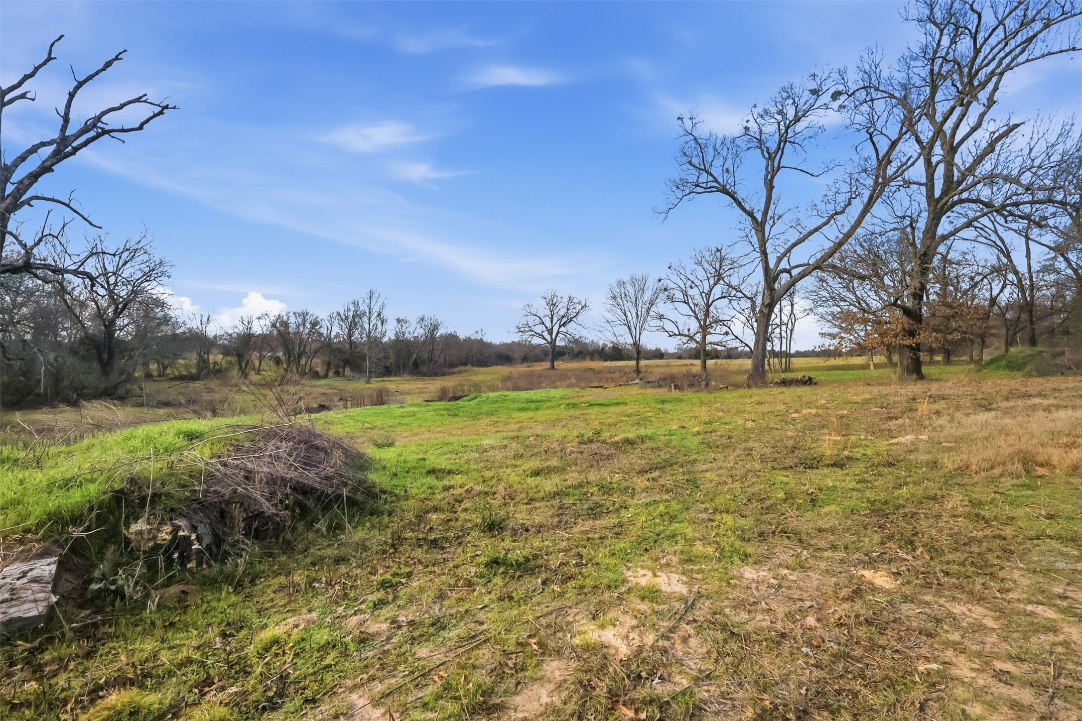 775 County Road 4919 Quitman TX 75783