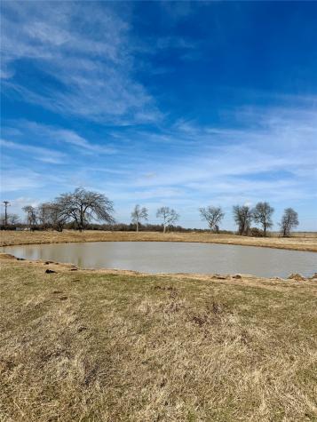 TBD County Road 656 Thornton TX 76687