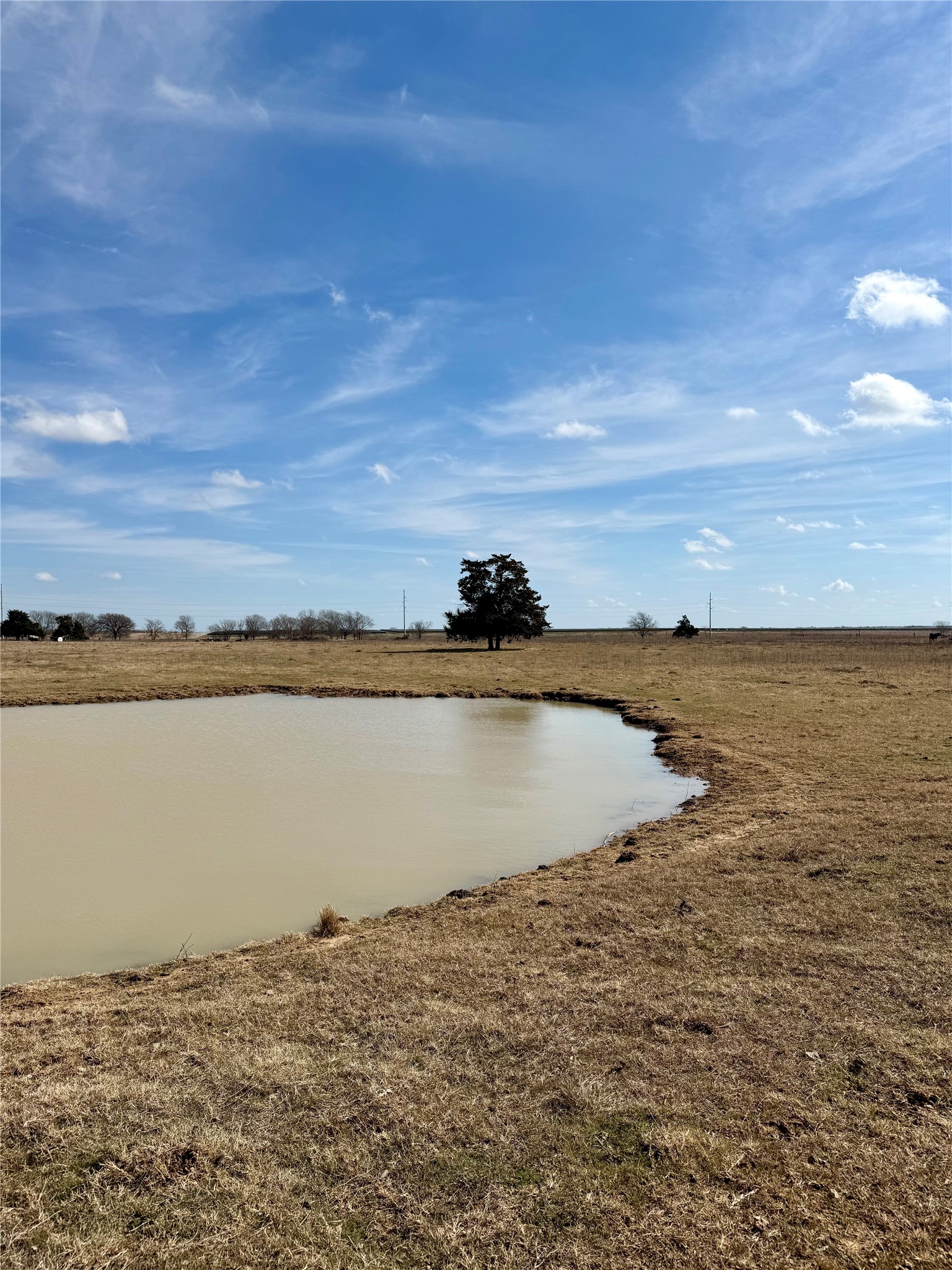 Tbd County Road 656 Thornton TX 76687