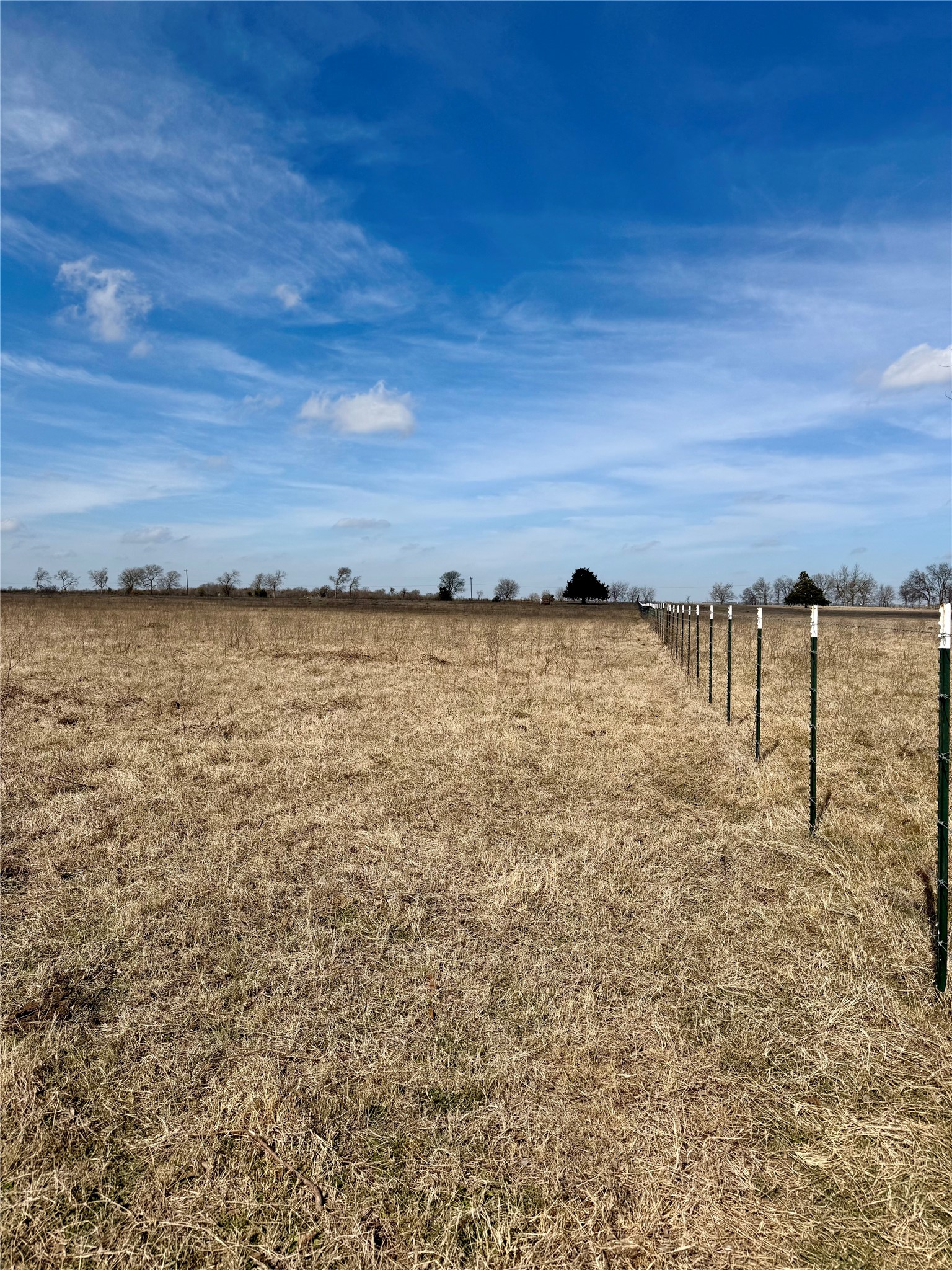 Tbd County Road 656 Thornton TX 76687