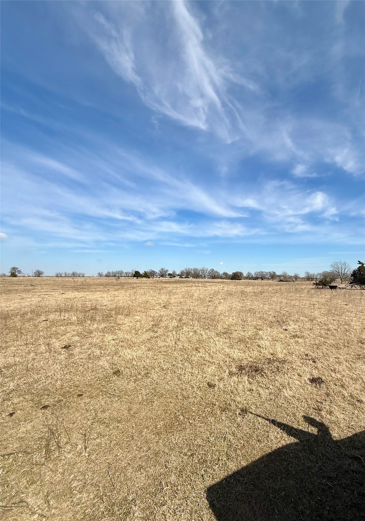 Tbd County Road 656 Thornton TX 76687