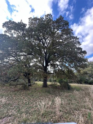 Tbd Lcr 758 Thornton TX 76687