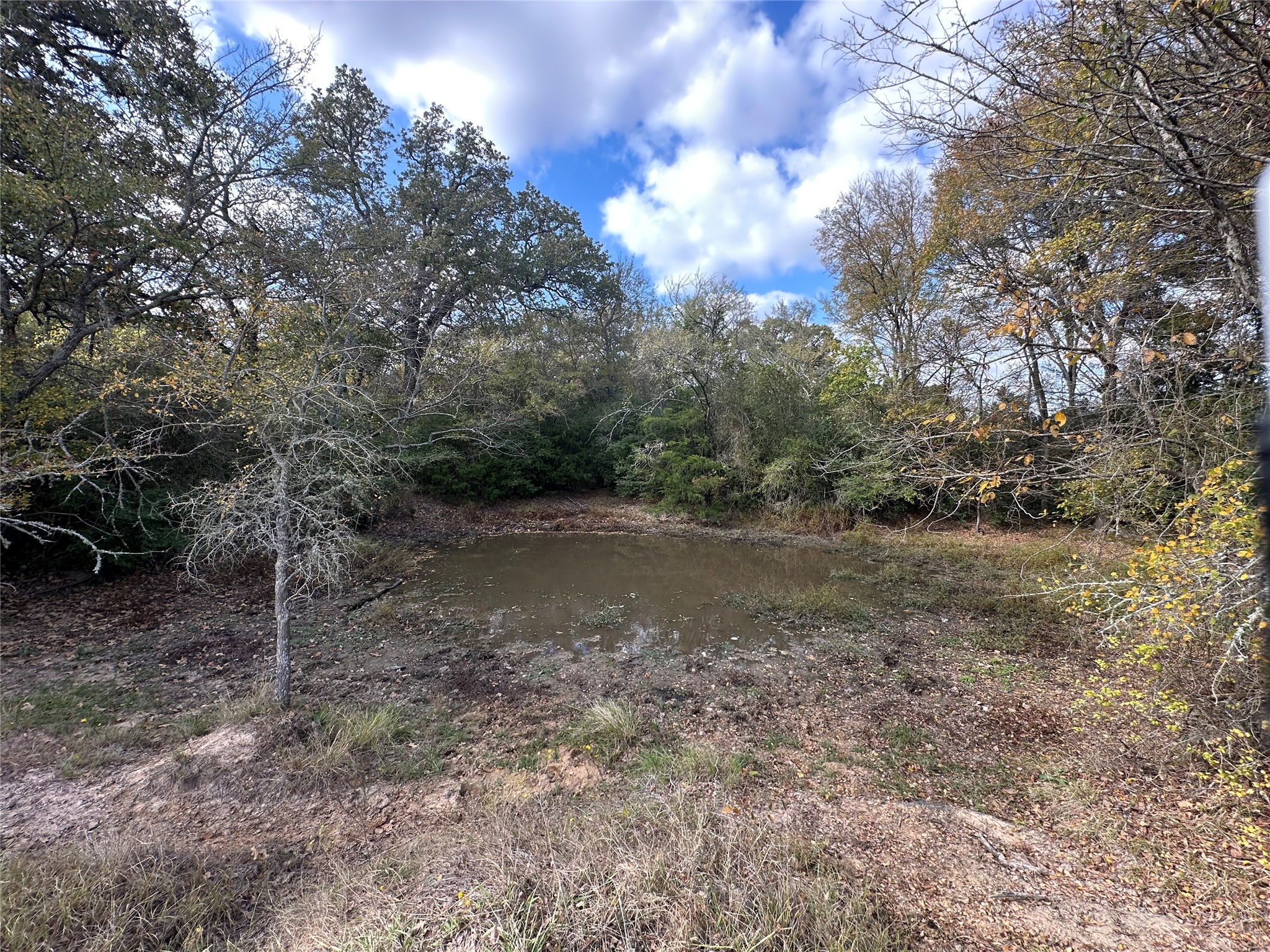Tbd Lcr 758 Thornton TX 76687