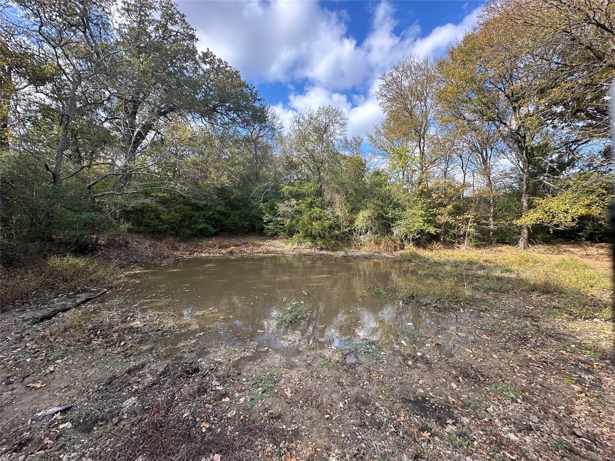 Tbd Lcr 758 Thornton TX 76687