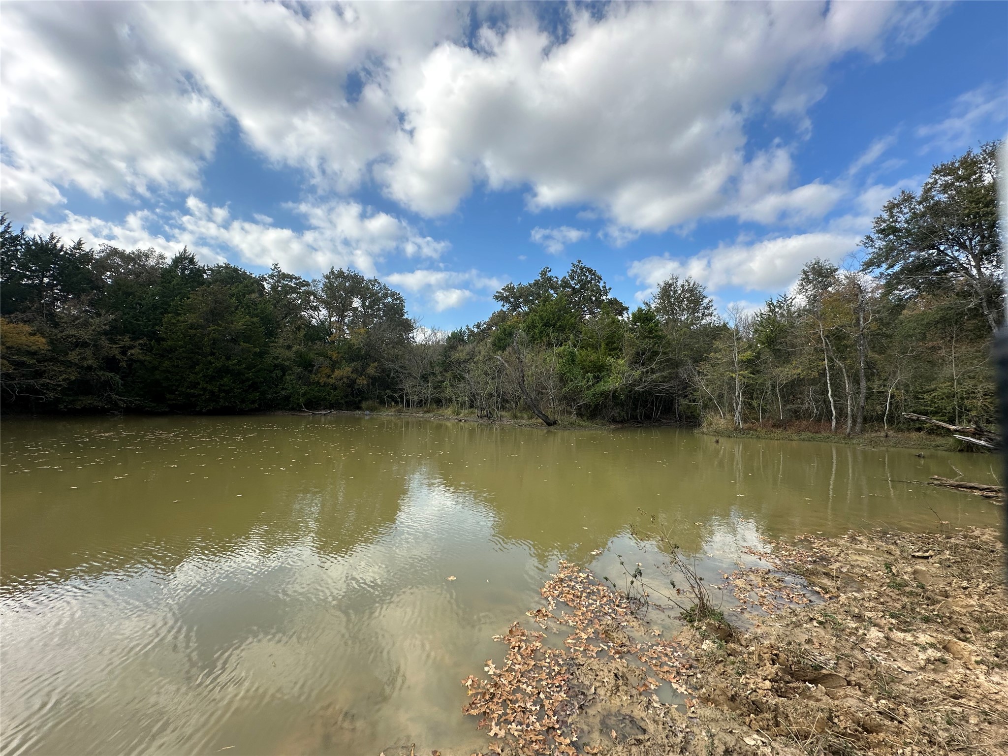 Tbd Lcr 758 Thornton TX 76687