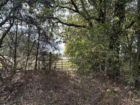Tbd Lcr 758 Thornton TX 76687