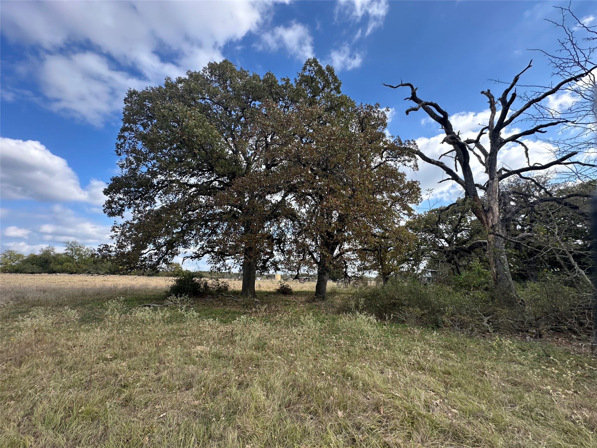 Tbd Lcr 758 Thornton TX 76687