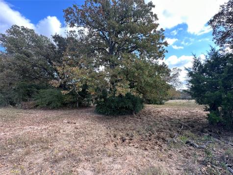 Tbd Lcr 758 Thornton TX 76687