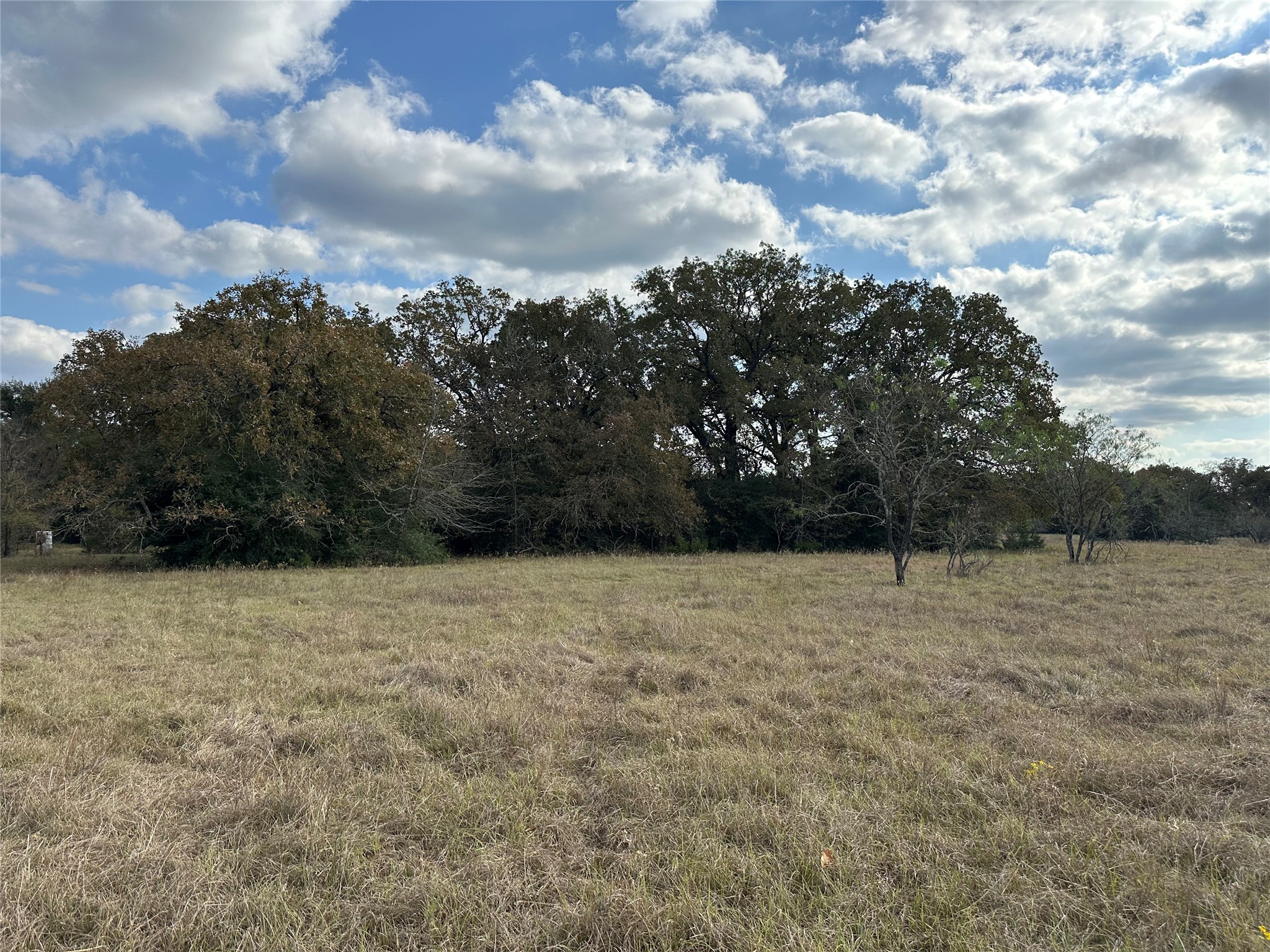 Tbd Lcr 758 Thornton TX 76687