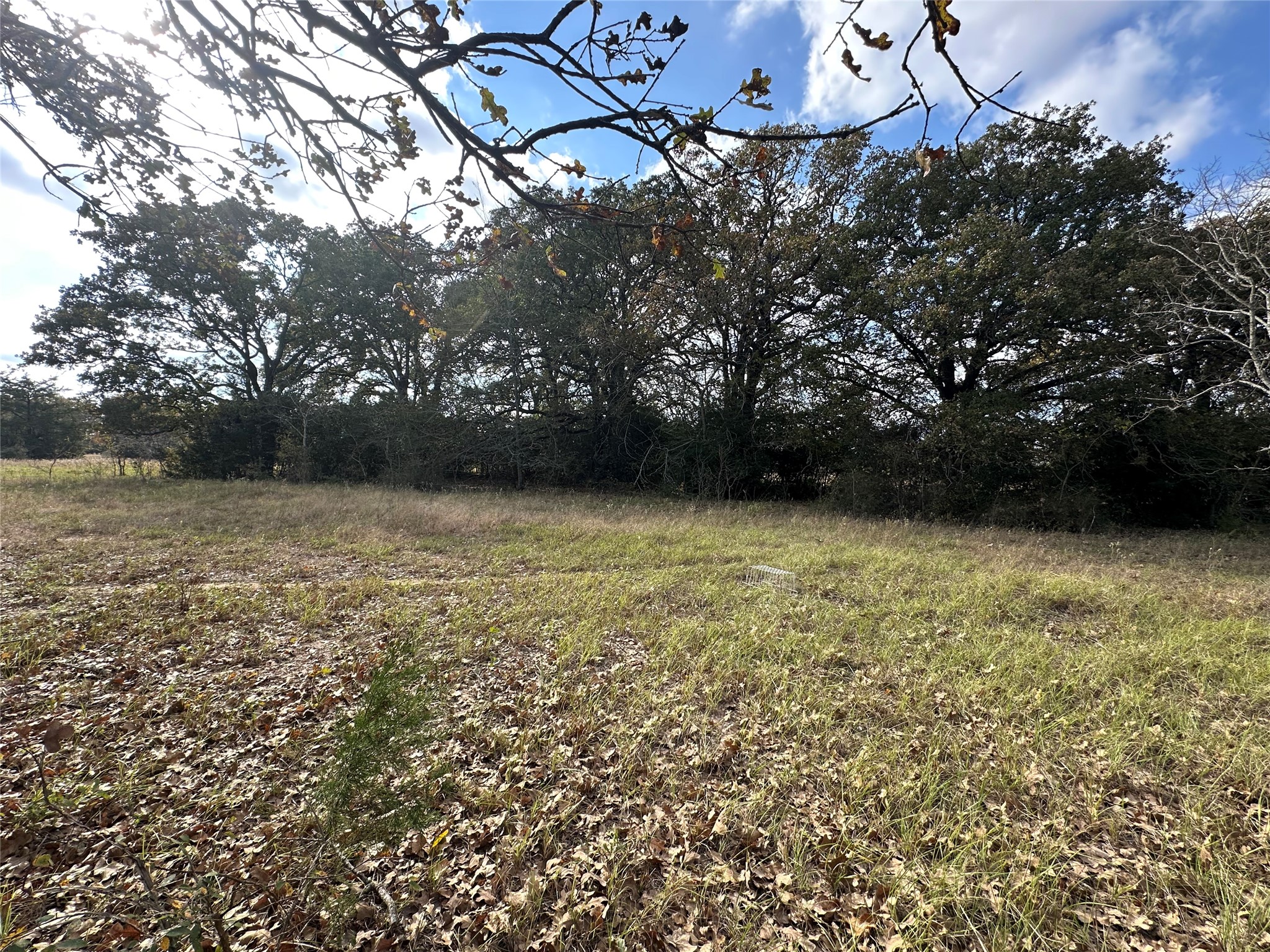 Tbd Lcr 758 Thornton TX 76687
