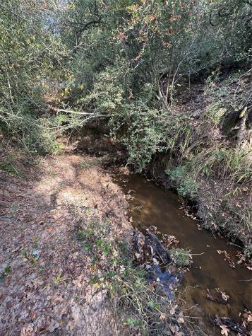 Tbd Lcr 758 Thornton TX 76687