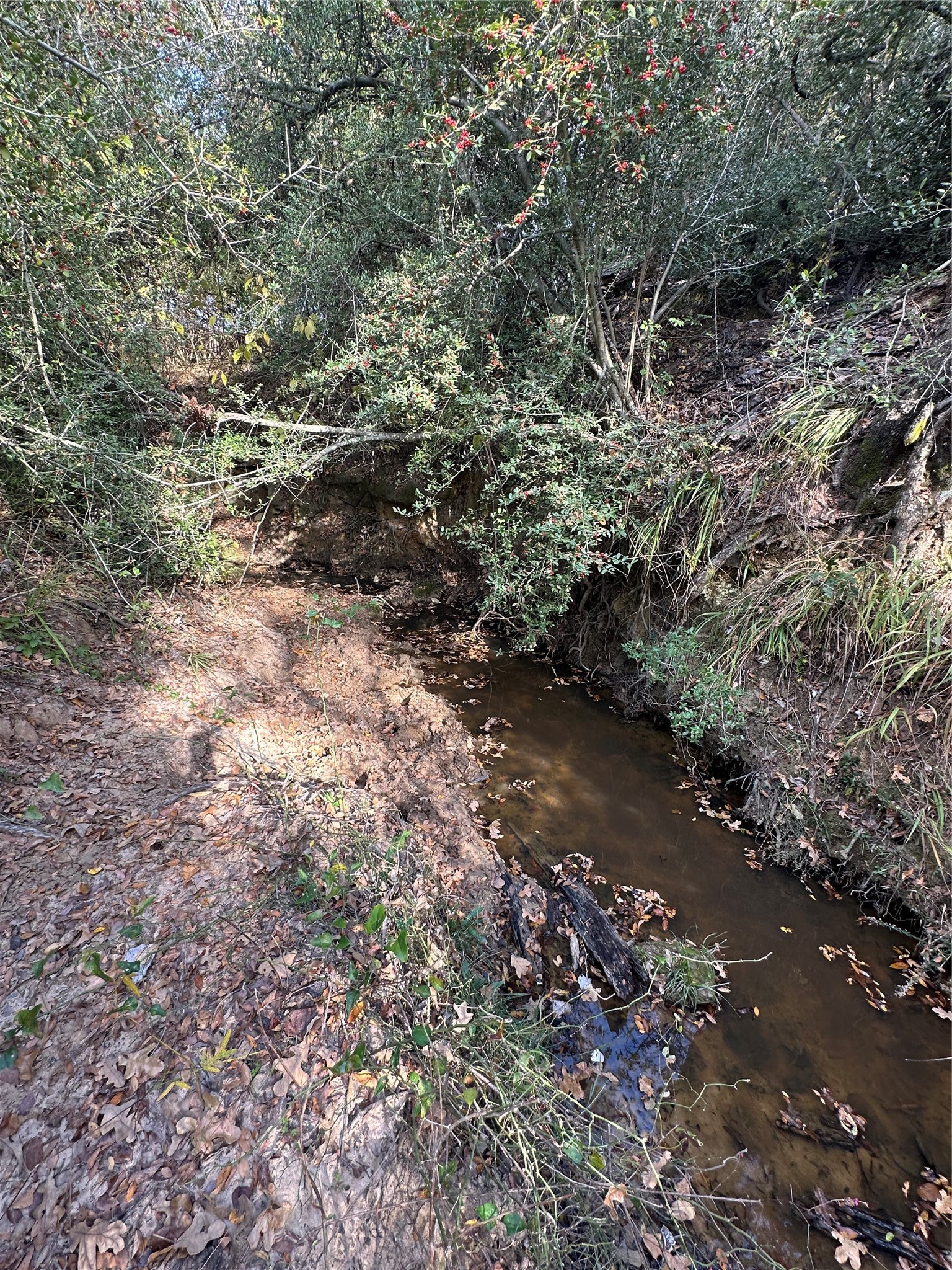 Tbd Lcr 758 Thornton TX 76687
