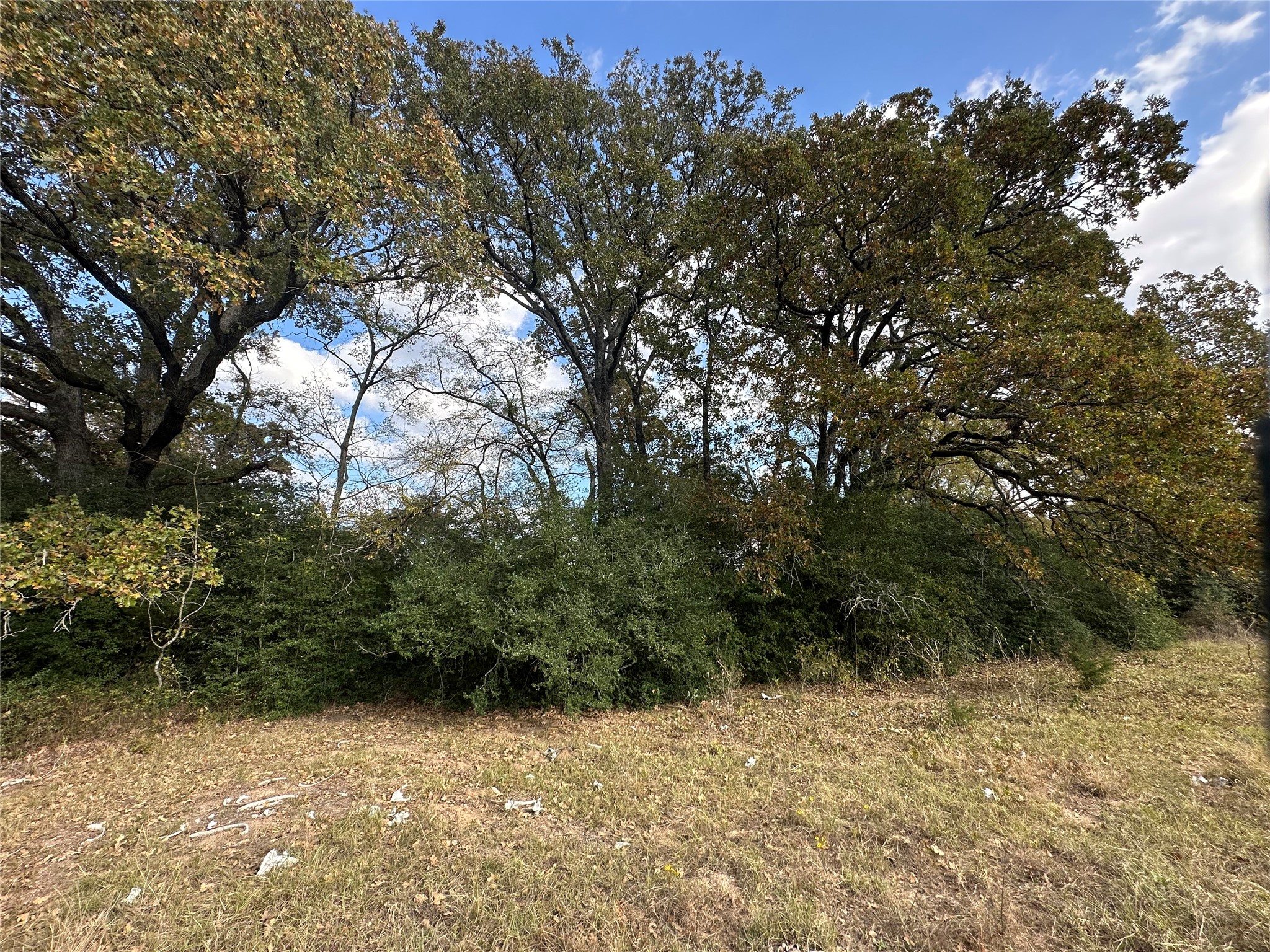 Tbd Lcr 758 Thornton TX 76687