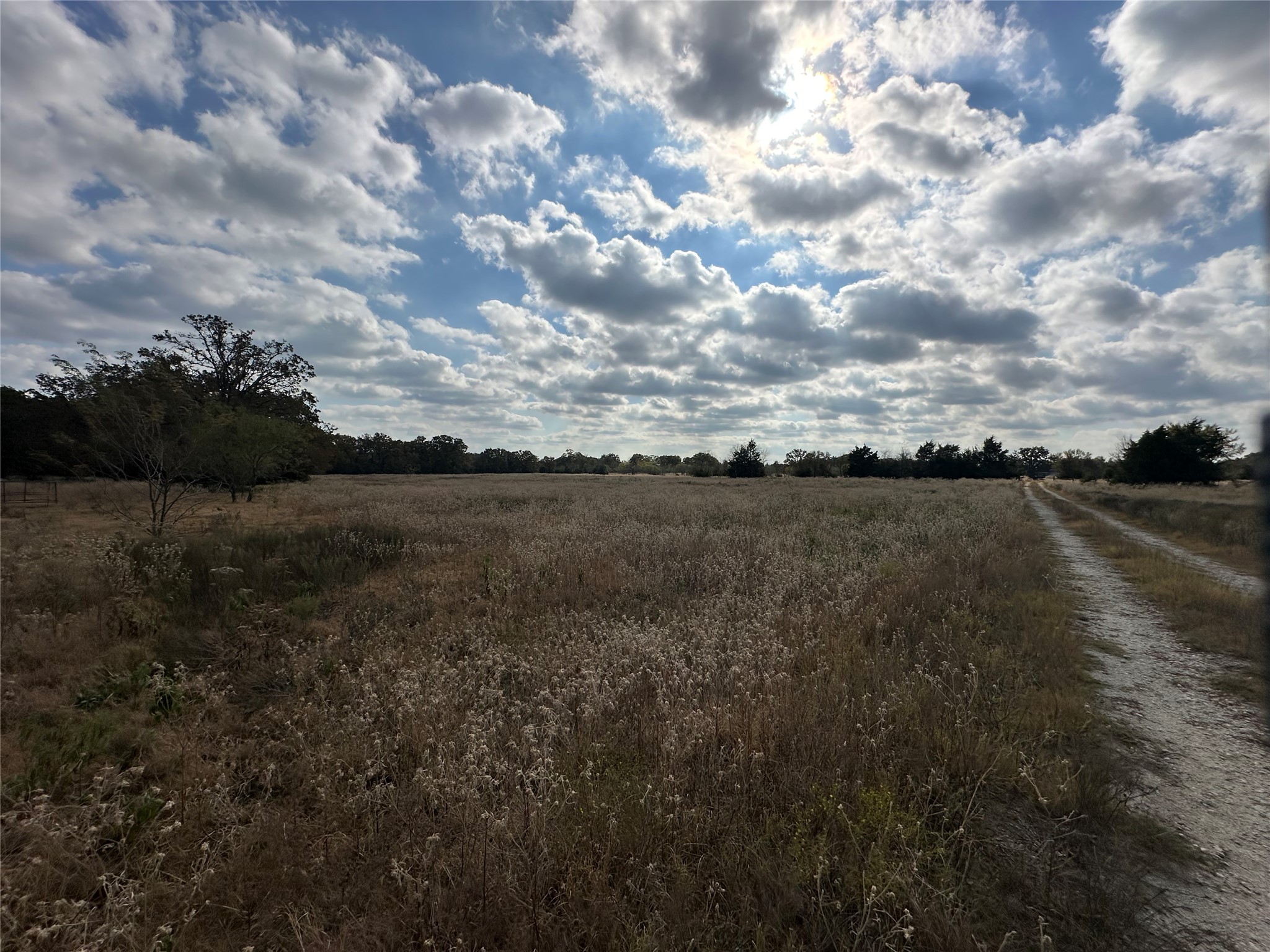Tbd Lcr 758 Thornton TX 76687