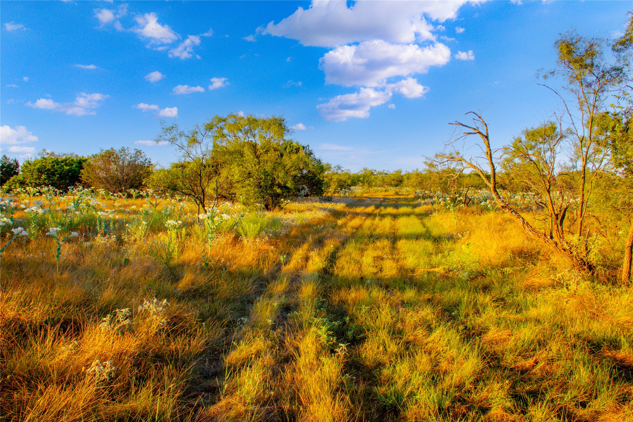 130 Mountain Drive Graford TX 76449