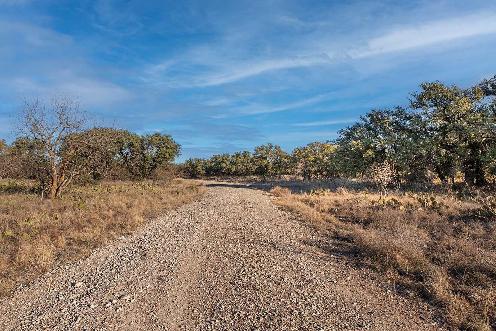 371 Axis Court Melvin TX 76858