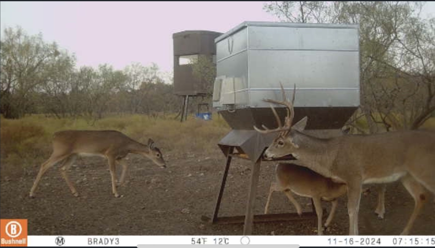 371 Axis Court Melvin TX 76858