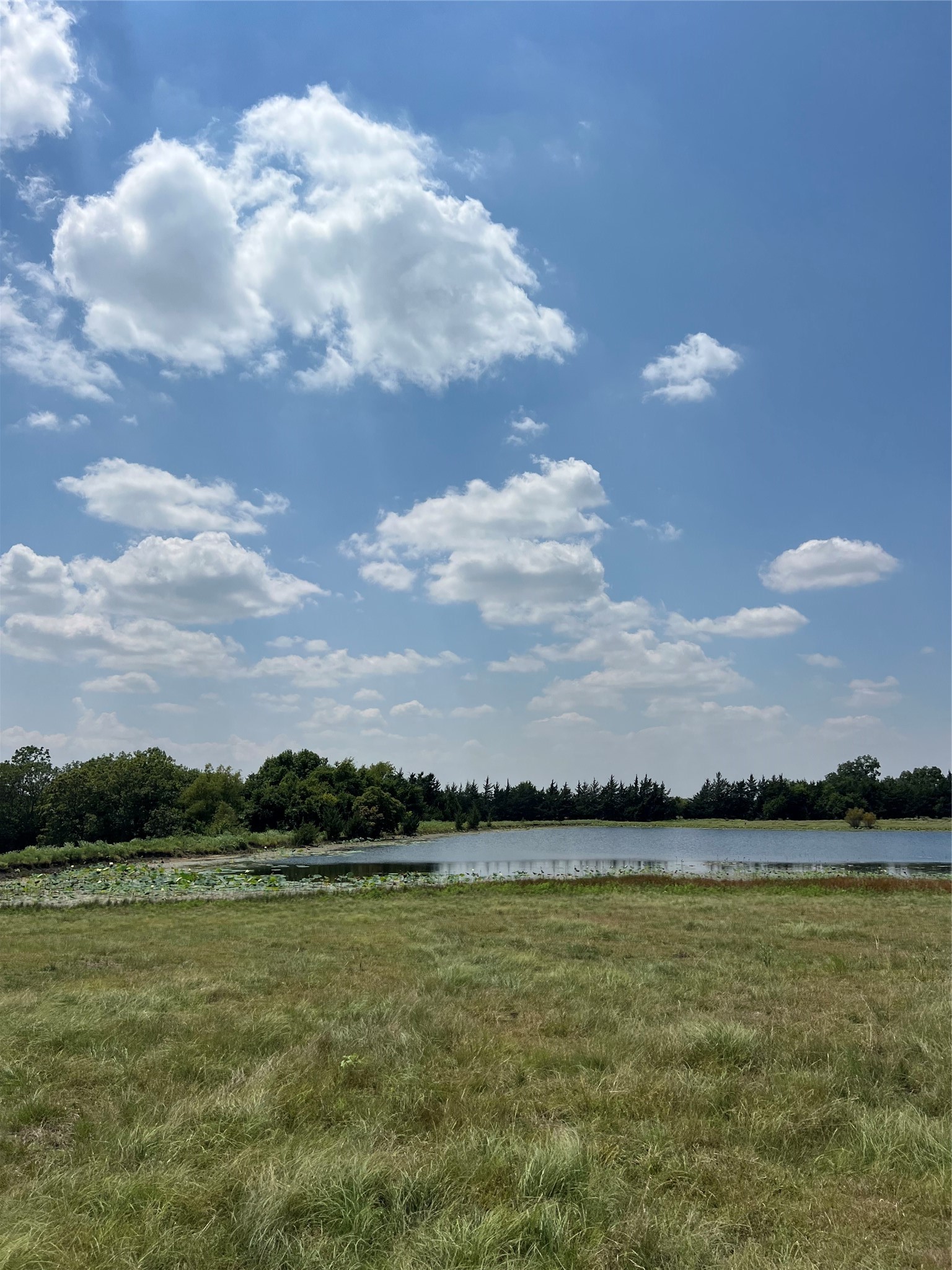 4784 County Road 12650 Paris TX 75462
