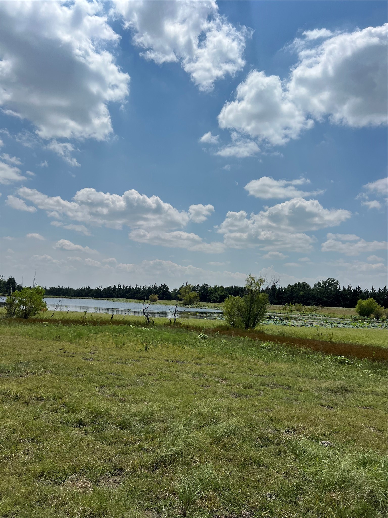 4784 County Road 12650 Paris TX 75462