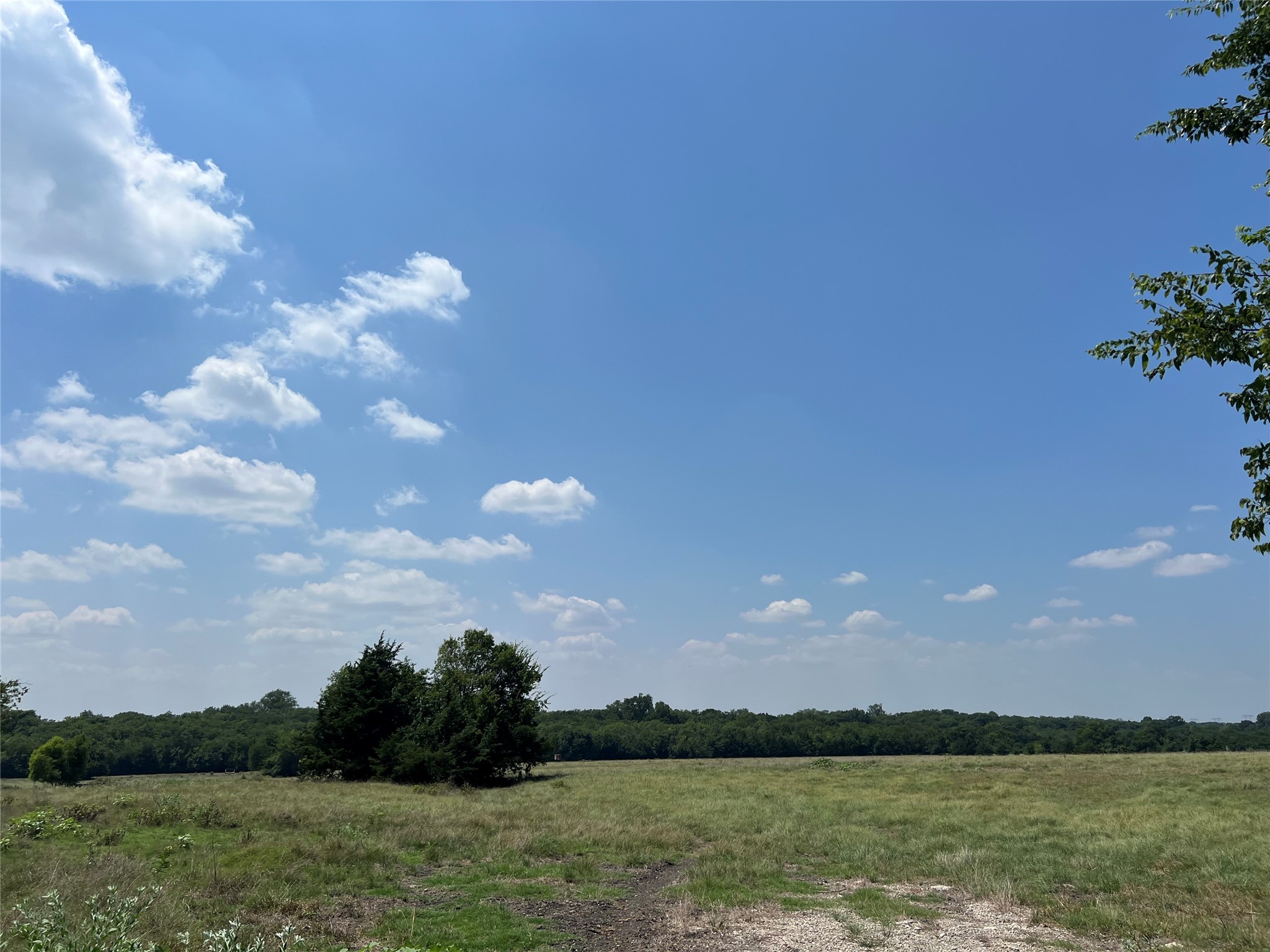 4784 County Road 12650 Paris TX 75462