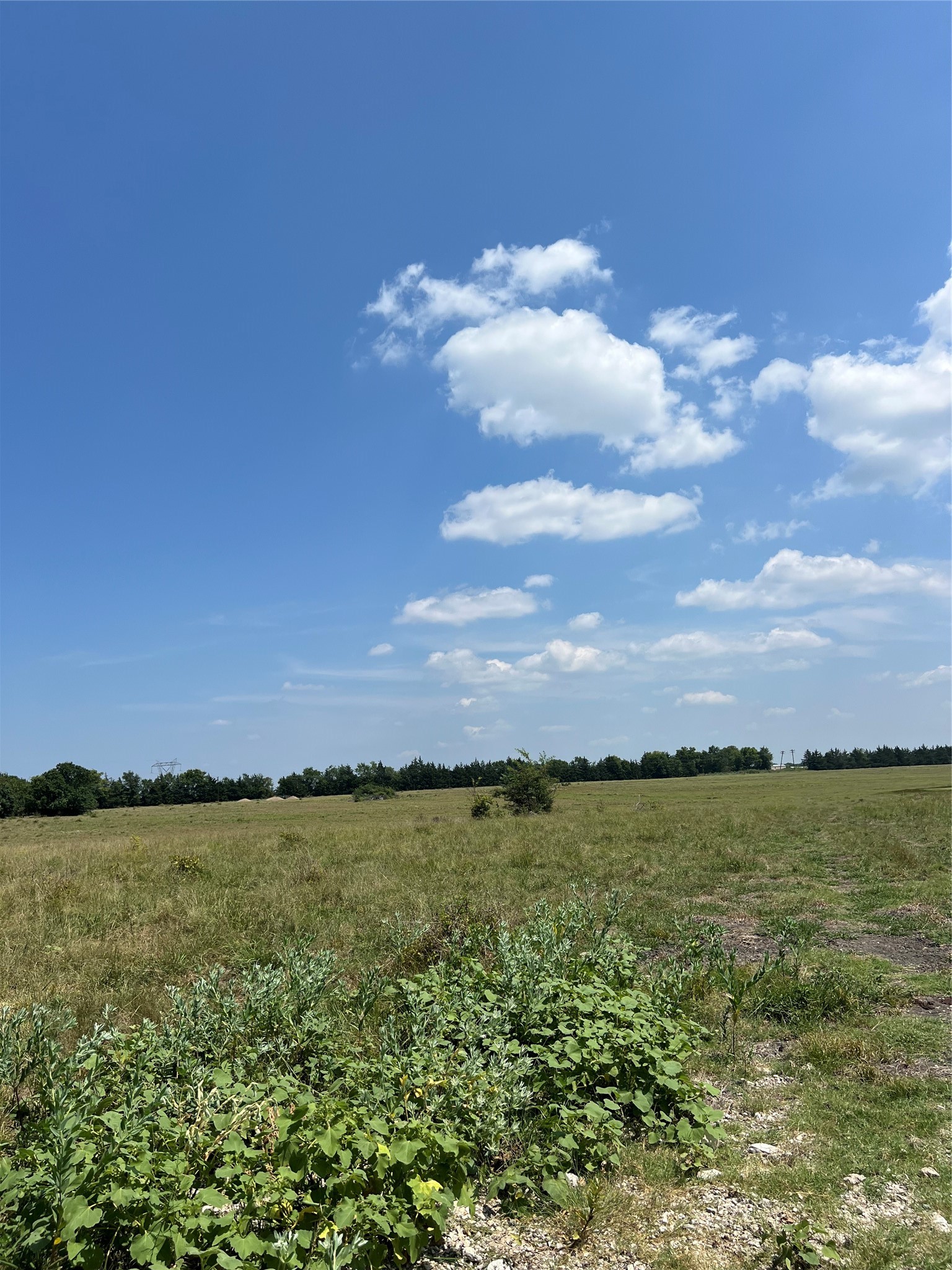 4784 County Road 12650 Paris TX 75462