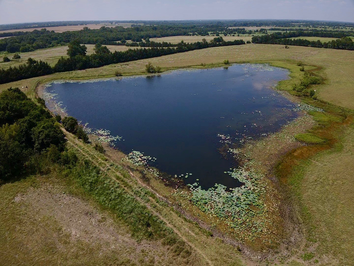 4784 County Road 12650 Paris TX 75462