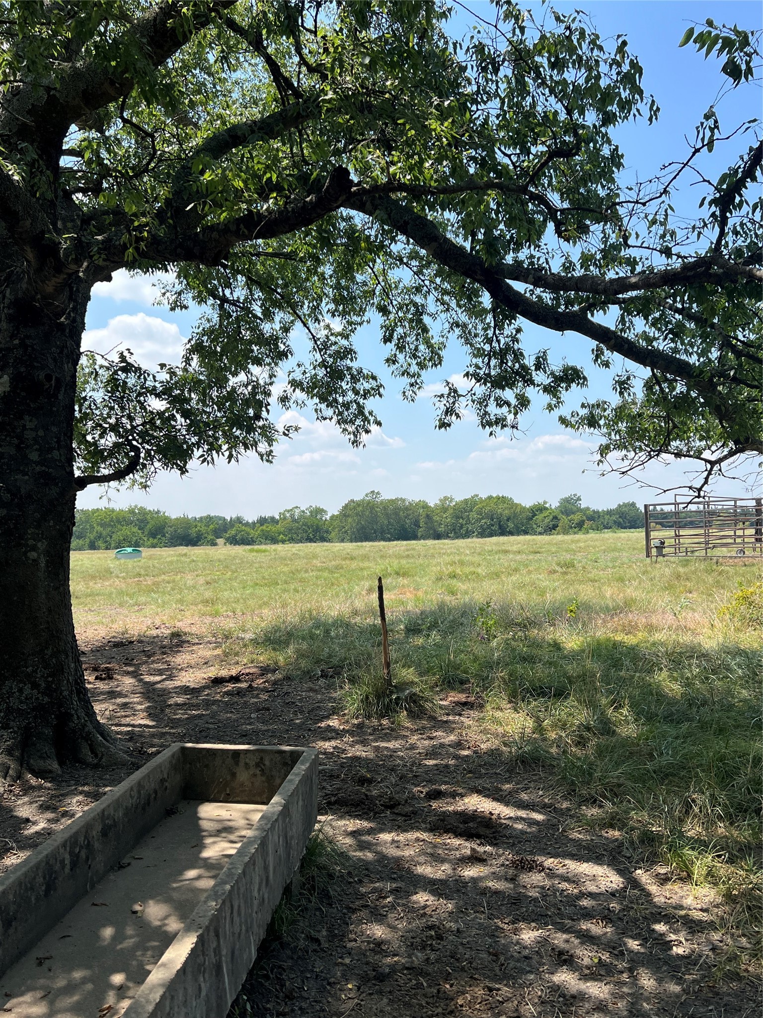4784 County Road 12650 Paris TX 75462