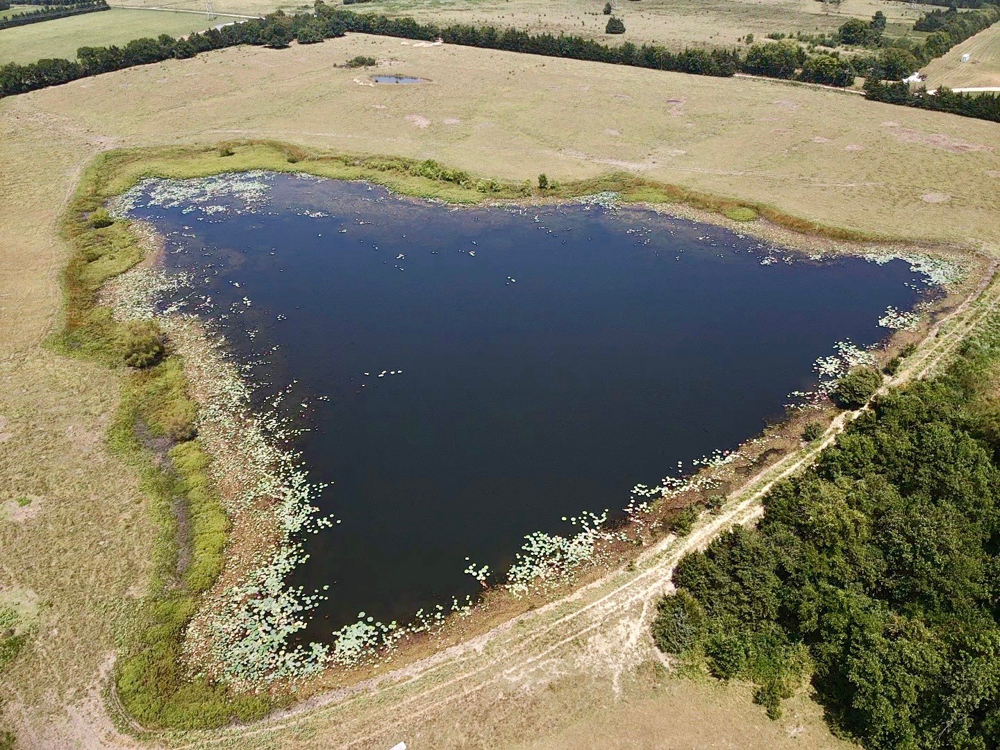 4784 County Road 12650 Paris TX 75462
