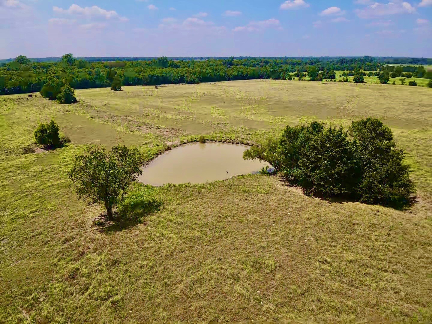 4784 County Road 12650 Paris TX 75462